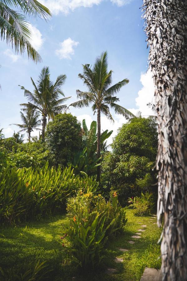 Triangle Palms Siargao Βίλα General Luna  Εξωτερικό φωτογραφία